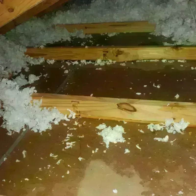 Attic Water Damage in Meigs County, TN